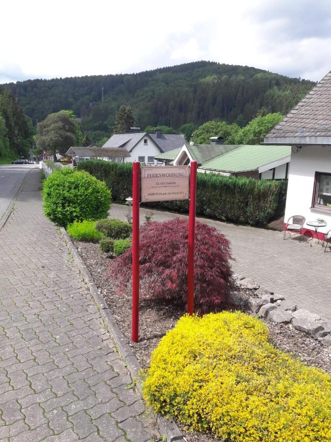 Ferienwohnung Stremme Willingen  Exterior photo